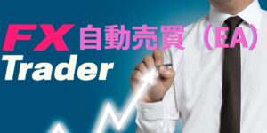 FX自動売買堅星流星